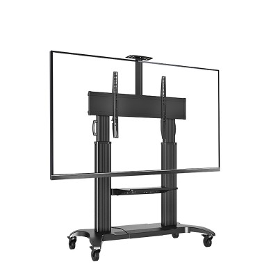 Mobile TV Cart