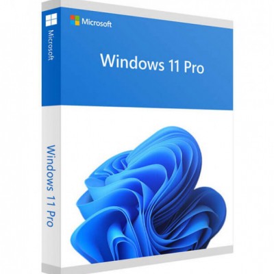 Window 11 Pro 64 bit